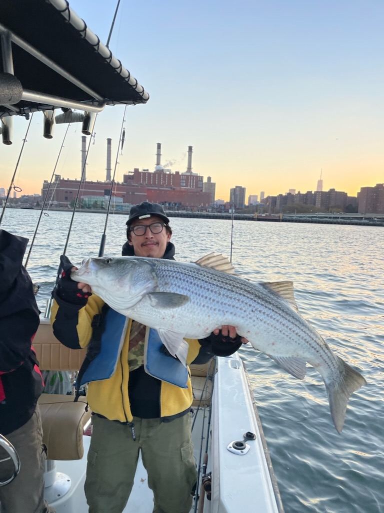 Person on a boat holding a large fish, city skyline in the background at sunset.