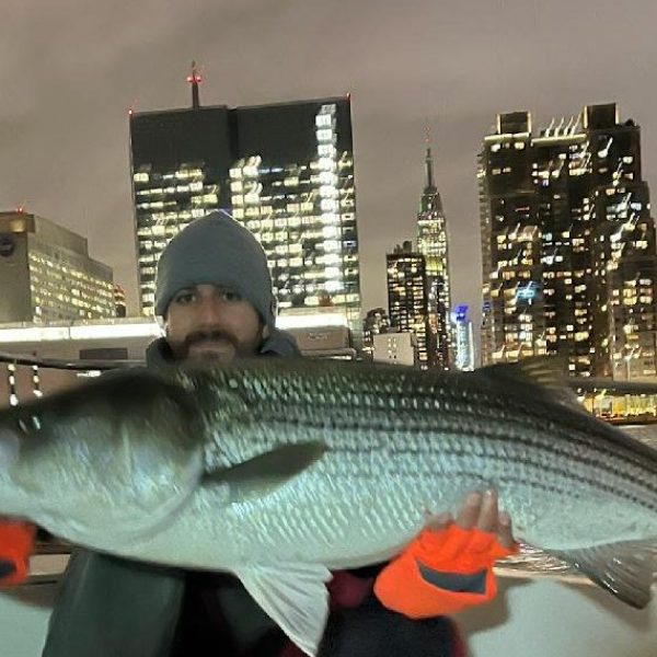 Person on boat holding large fish with city skyline at night.
