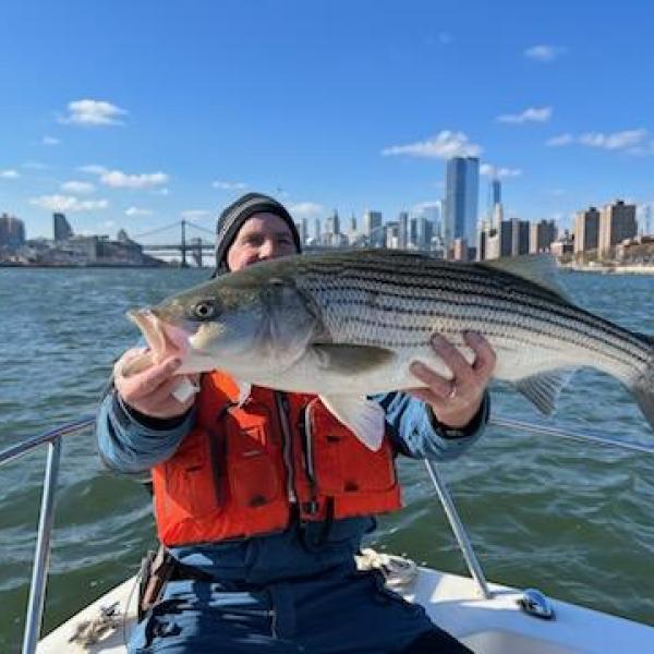 Person on boat holding large fish with city skyline in background.