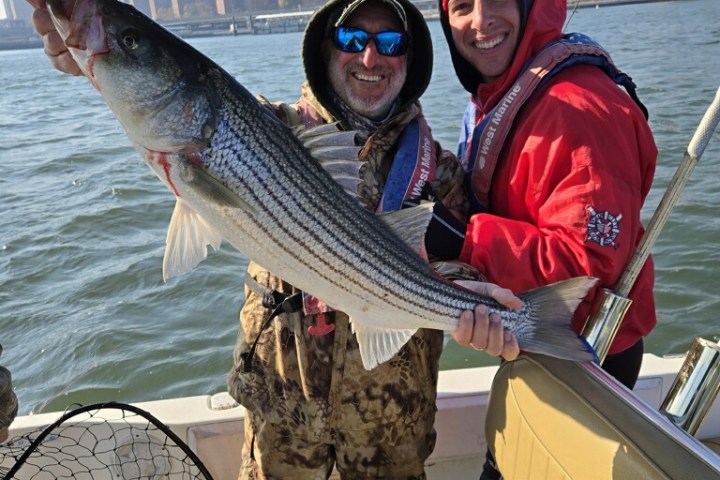 Two people on a boat holding a large fish by the waterfront.