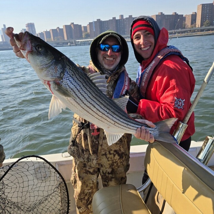 Two people on a boat holding a large fish by the waterfront.