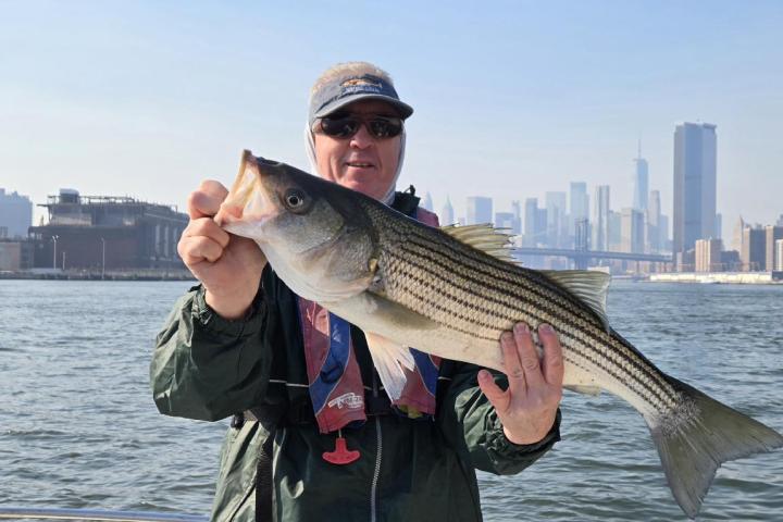 Person holding a large fish on a boat with a city skyline in the background.
