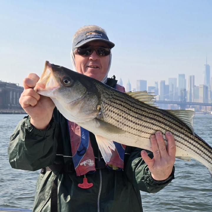 Person holding a large fish on a boat with a city skyline in the background.
