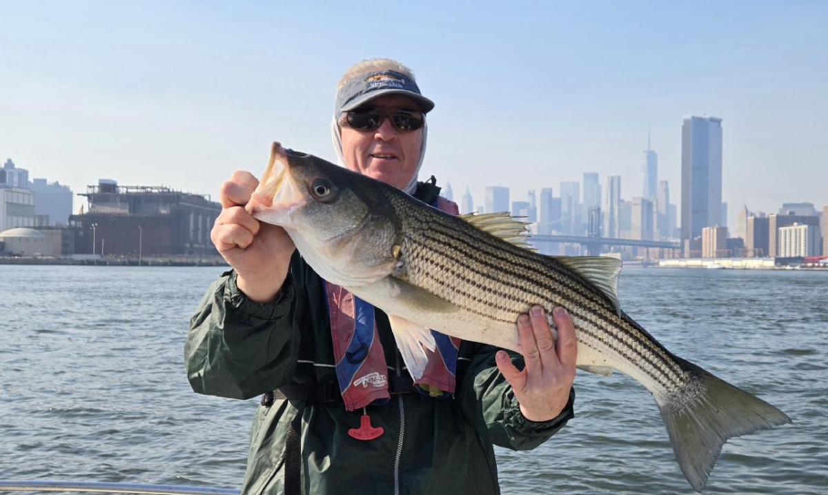 Person holding a large fish on a boat with a city skyline in the background.