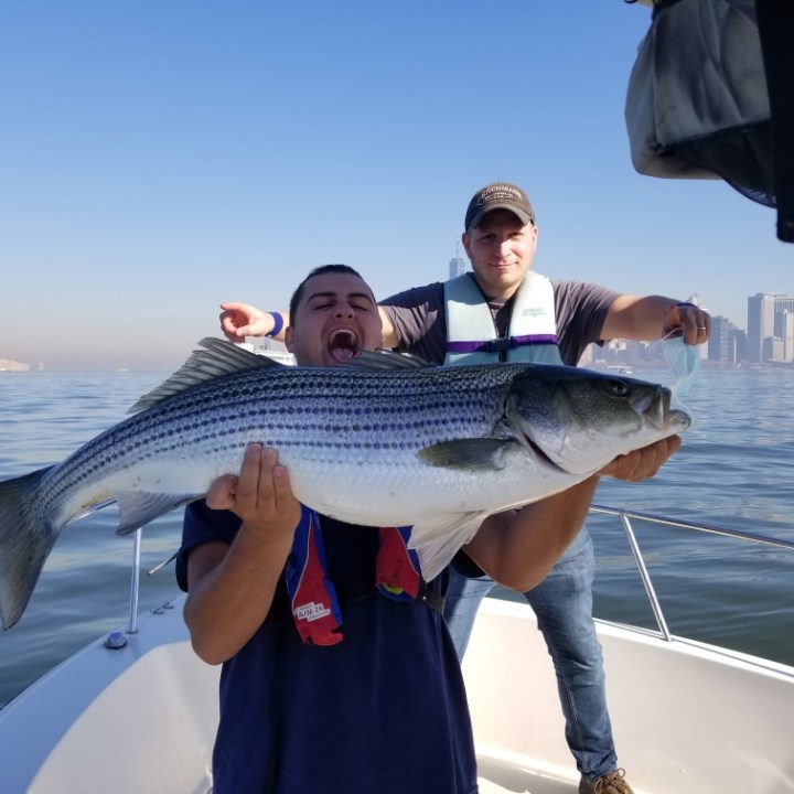 Two men on a boat holding a large striped fish with city skyline in background.