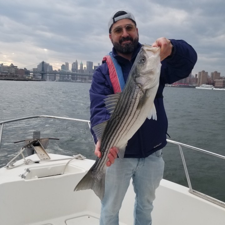 Person on a boat holding a large fish with city skyline in the background.