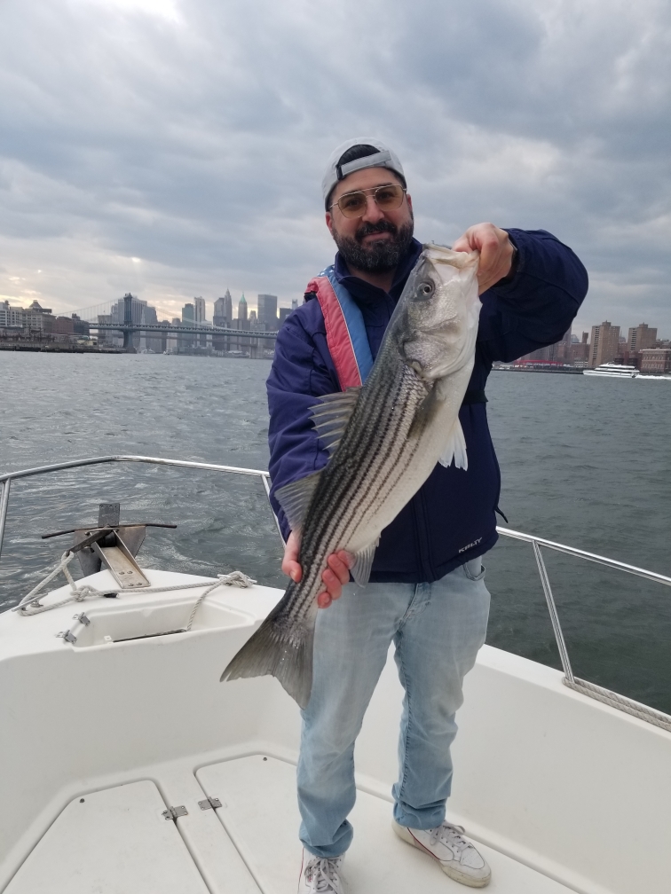 Person on a boat holding a large fish with city skyline in the background.